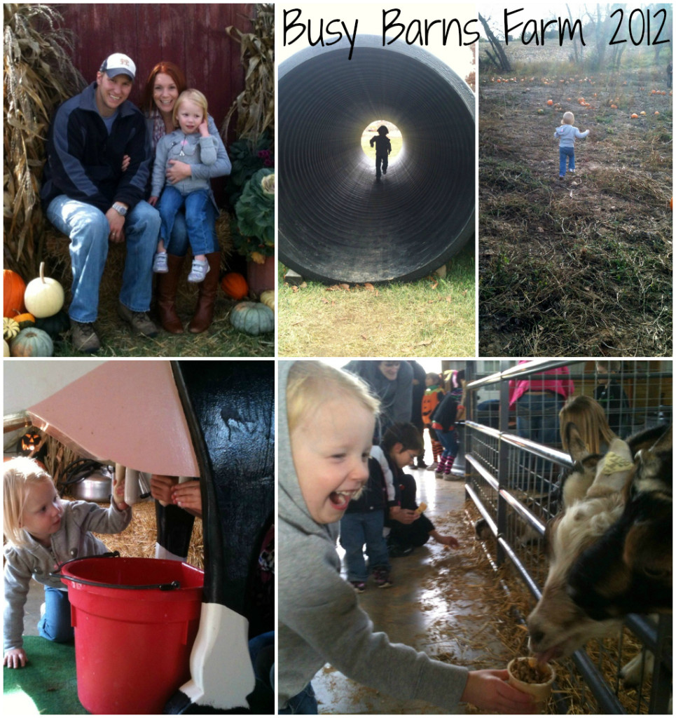 BusyBarns2012