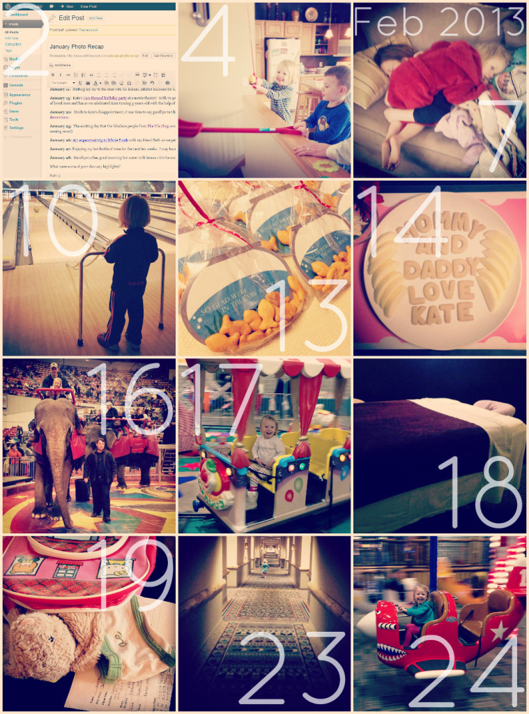 Feb2013collage