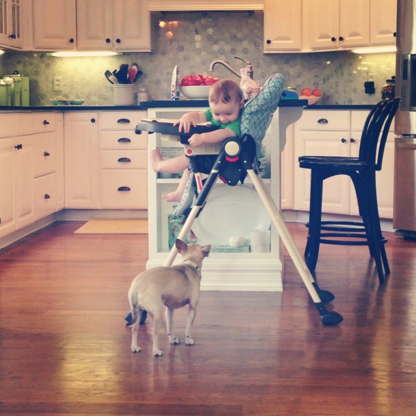 Weston & Burger: Cuteness Overload