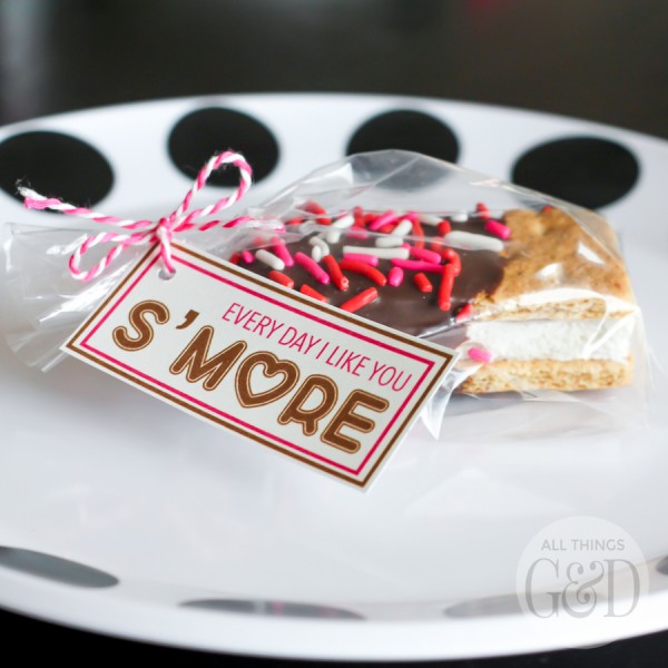 "Every Day I Like You S'more" valentine and free printable from All Things G&D. | www.allthingsgd.com