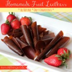 Homemade-Fruit-Leathers