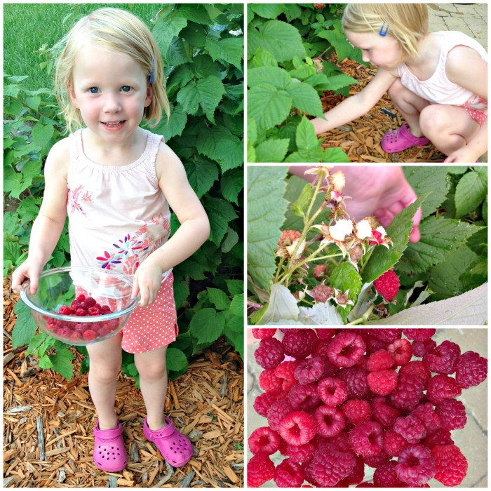 Kate: 3 Years 6 Months
