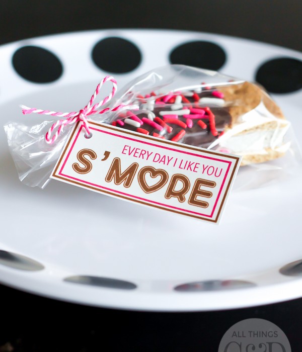 “Every Day I Like You S’More!” Valentine Printable